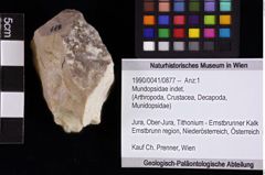 Foto (Objket + Etiketten) von Mundopsidae indet. 